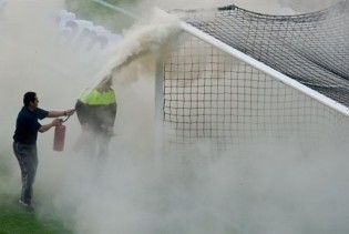Бджоли зупинили матч чемпіонату світу з футболу