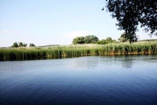 На Волині 18-річний хлопець задушився огірком під час купання