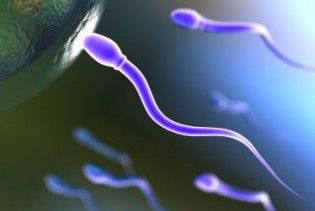 Донор сперми передав смертельну генетичну хворобу 9 з 24 своїх дітей
