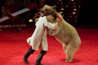 Ведмідь розірвав двох людей під час циркового виступу