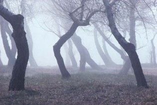 Погода в Україні на п`ятницю, 4 грудня
