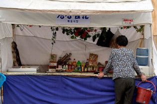 Північна Корея попросила у Великобританії їжі
