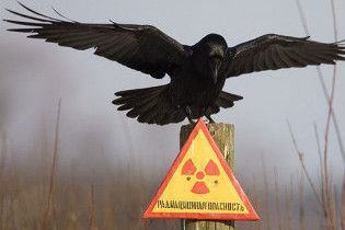 На пільги чорнобильцям у цьому році виділили в 10 разів менше, ніж передбачалося