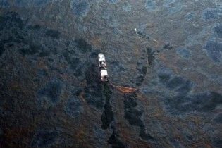 Захисний бар'єр від розливу нафти в Луїзіані намагаються створити з волосся