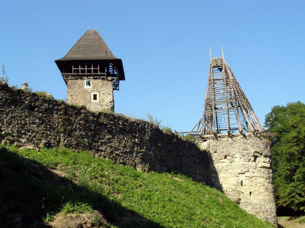 невицький замок