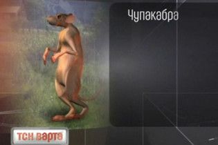 Міліція і мисливці Рівненської області провели облаву на чупакабру