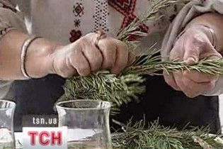 Новорічні ялинки лікують від багатьох хвороб