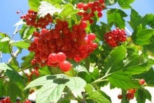 Погода в Україні на понеділок, 14 вересня