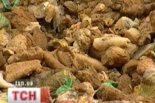 У Дніпропетровську на смітник викинули кілька тонн хліба
