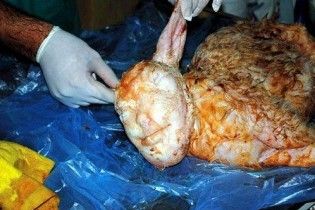 У Туреччині народилося ягня з людським обличчям