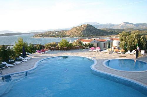 turkey