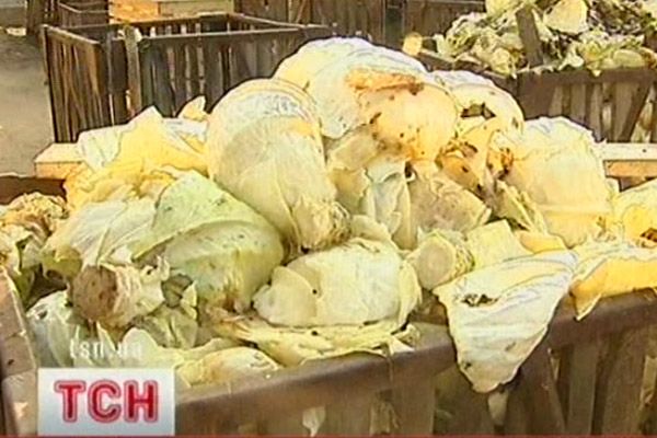 Капуста