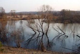 У Десні знайшли машину з тілом замначальника в'язниці