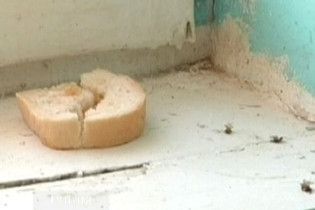 Віруючі батьки заморили свою дитину голодом