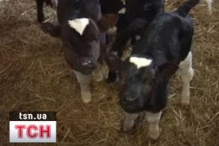 25 квітня в Історії