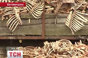 Кістки
