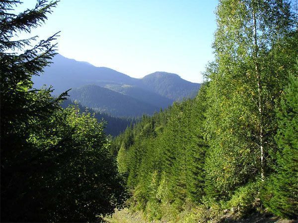 карпати