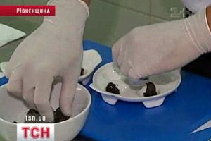 Равлики