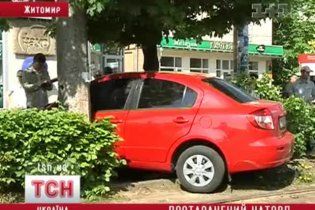 У Житомирі дружина депутата-комуніста заїхала у натовп