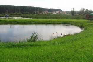 Рада відмовила українцям у вільному доступі в ліси
