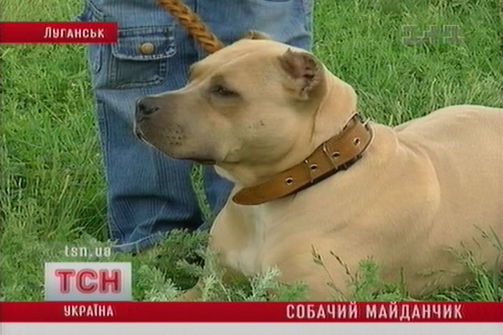 tcn_09