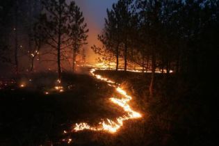 В Луганской области горят леса