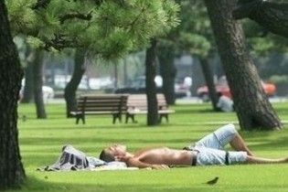 Жертвами спеки в Бразилії стали тридцять дві людини