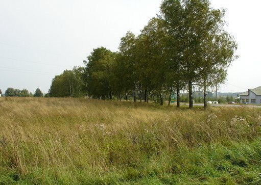 Земля