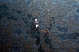 Защитный барьер от разлива нефти в Луизиане пытаются создать из волос