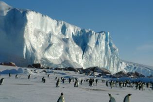 20 ноября в истории