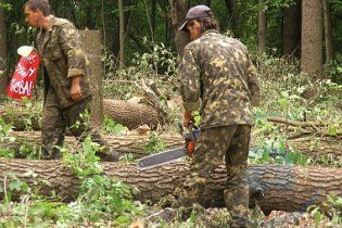 На Львівщині браконьєри-лісоруби залишили три десятки сіл без світла