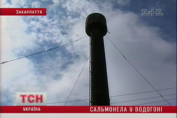 tcn_010