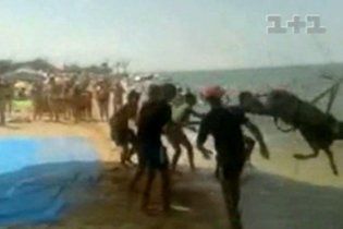 Віслюк-парашутист зник від слідчих