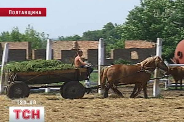 Тюремний бізнес