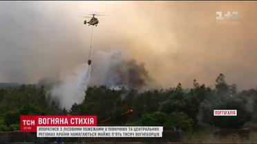 Ужасные лесные пожары вновь охватили Португалию