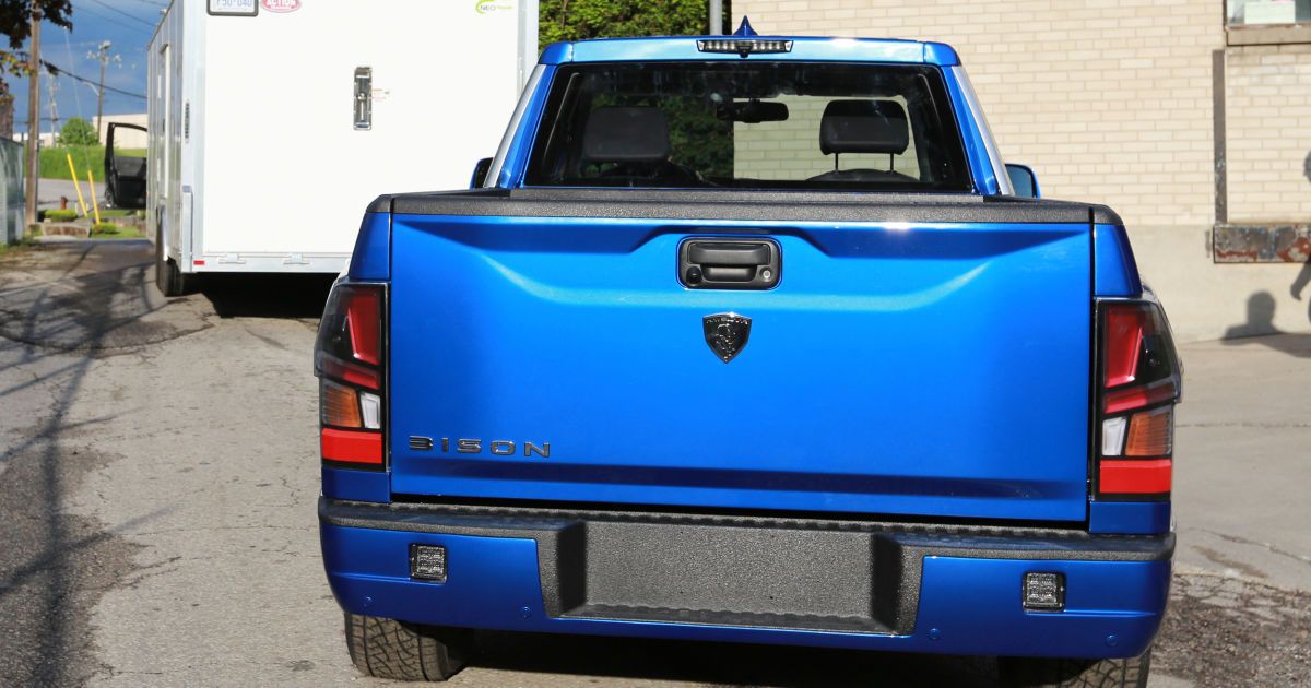 Havelaar Bison