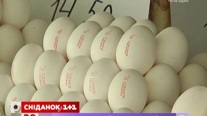 На що треба звертати увагу при виборі яєць