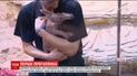У польському зоопарку до відвідувачів вперше вийшов новонароджений мурахоїд