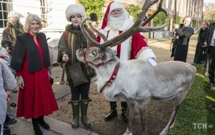 Камилла, елка и олень: как в Кларенс-хаусе готовятся к Рождеству