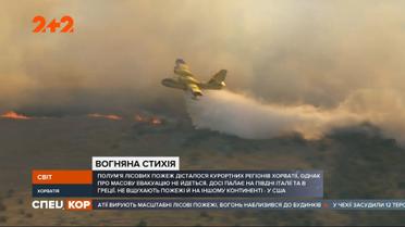 На разных континентах не перестают гореть леса