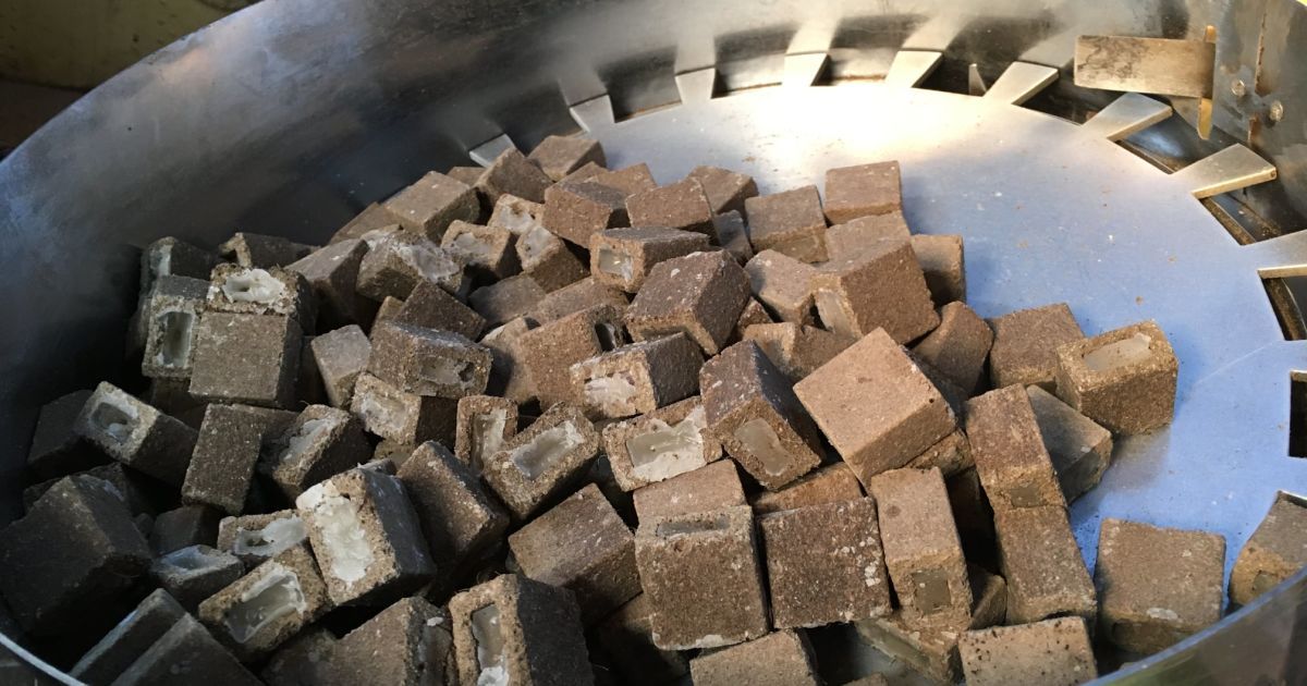 У Київській області вакцину проти сказу для тварин розкидали з літаків