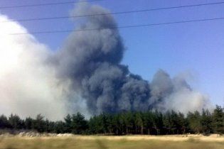 Грецька поліція затримала трьох ймовірних паліїв лісу