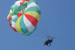 У літаючої ослиці знайшли двійника