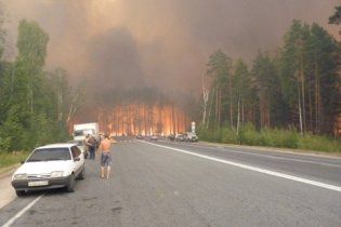 Українці перестали відпочивати у лісах