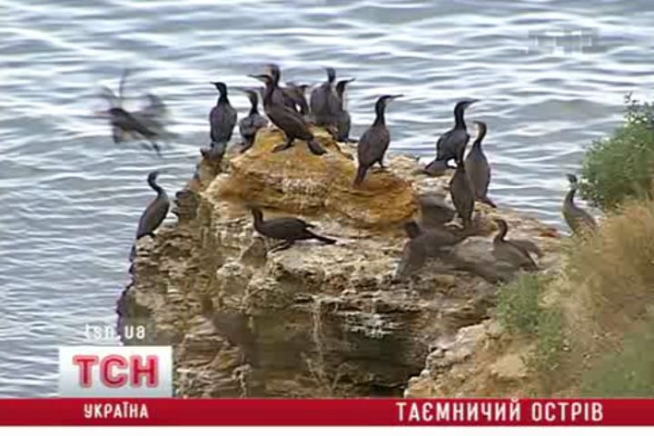 tcn_08