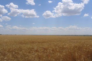 26 серпня в Україні спека не очікується