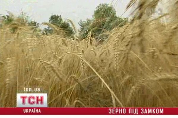 03_zerno