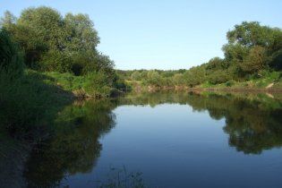 Волинь щорічно зменшується на десятки квадратних кілометрів
