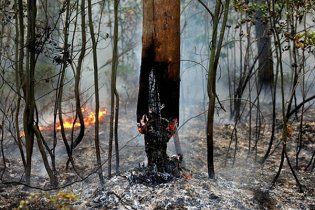 Евросоюз выделил России 80 тыс. евро для пострадавших от пожаров