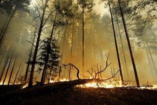 В Колорадо лесной пожар уничтожил полторы сотни домов